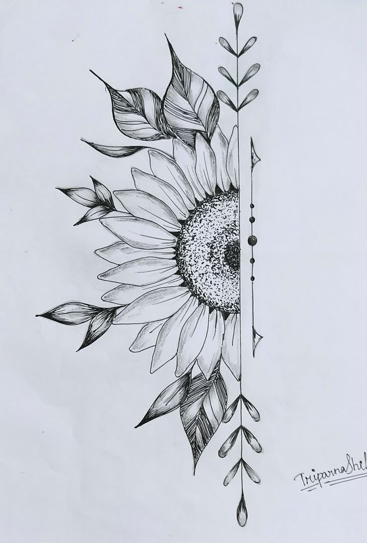 a drawing of a sunflower with leaves and arrows on the bottom half of it