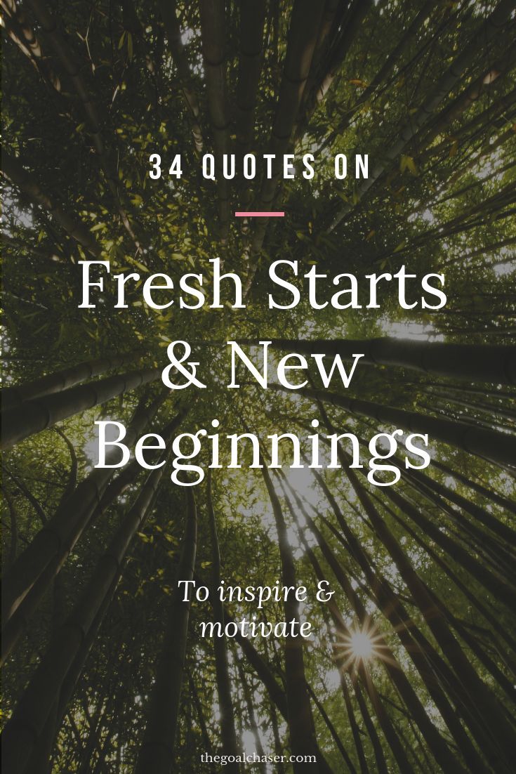 trees with the words fresh starts and new beginnings to inspire and motivitate on it