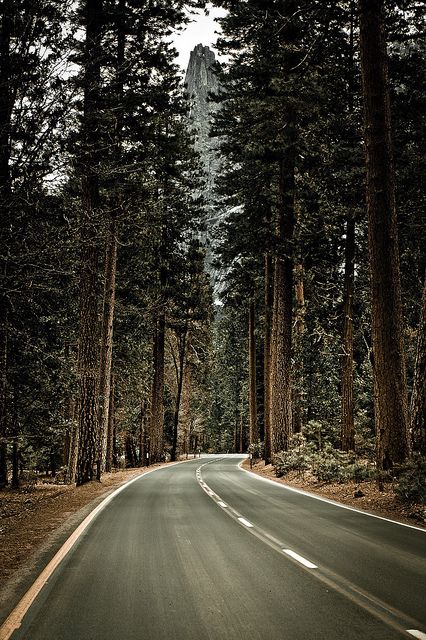 the word run written in front of a road surrounded by trees