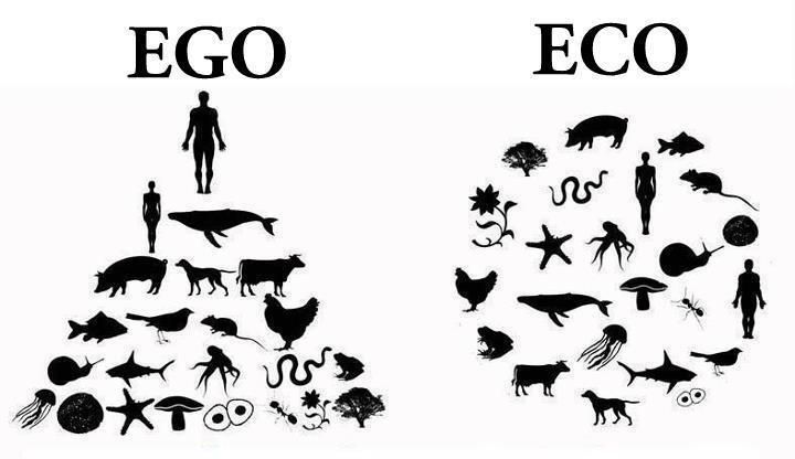 the diagram shows how many different types of animals are present in each individual's body