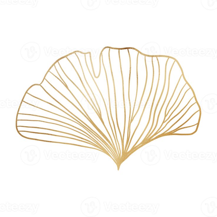 a golden fan shaped object on a white background