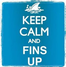 a blue keep calm and fins up sign