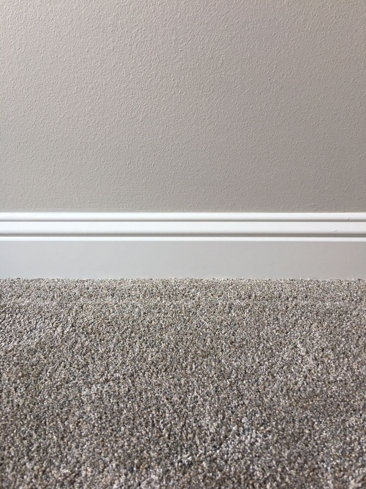 a cat is sitting on the carpet in front of a wall with a white strip