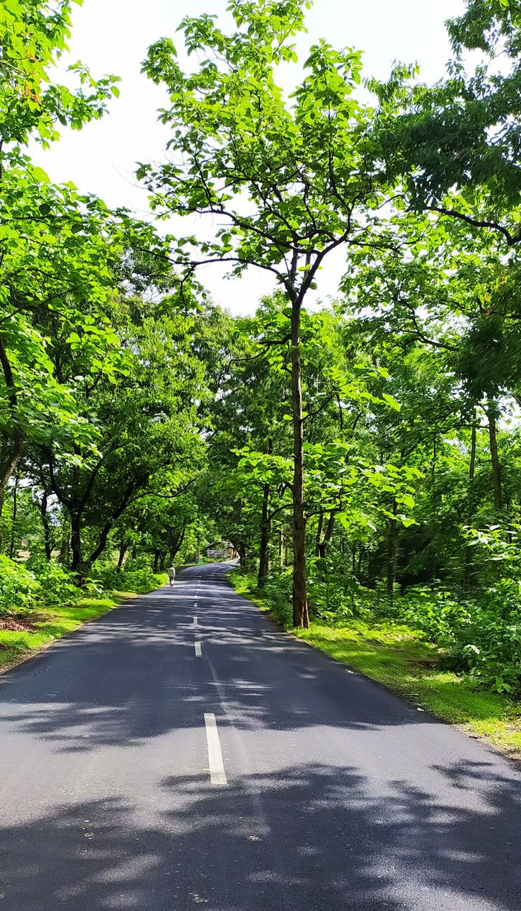 an empty road surrounded by green trees and grass in the middle of the day with no cars or people on it