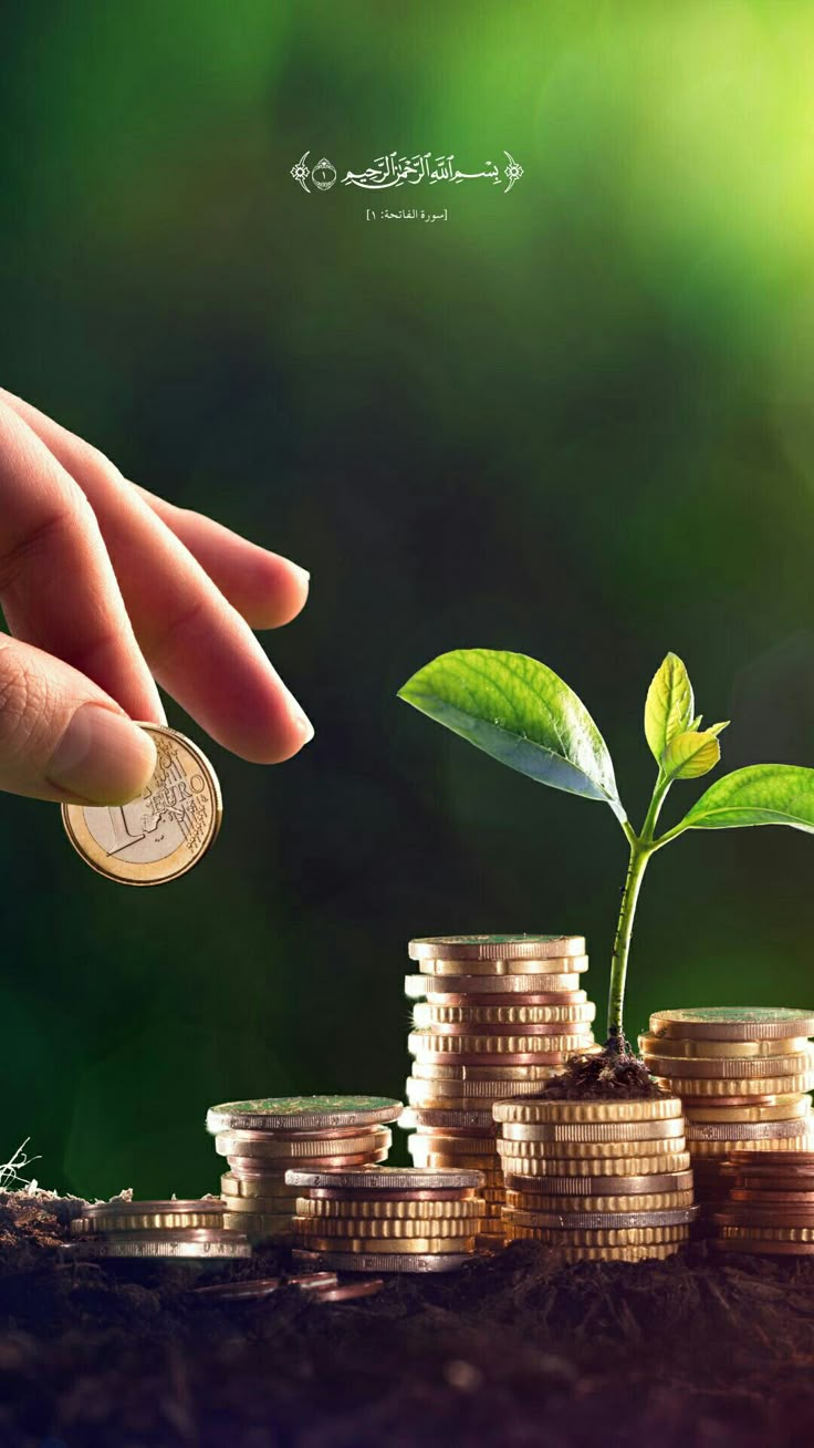 a hand reaching for a coin with a plant growing out of it on top of stacks of coins