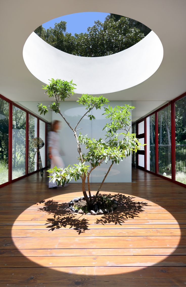 a tree in the middle of a room with lots of windows and wood flooring