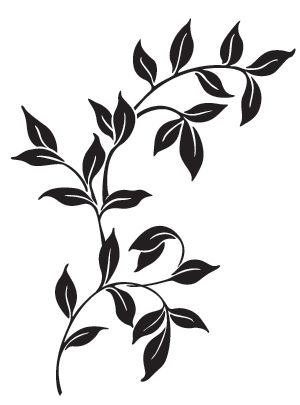 a black and white drawing of leaves on a branch