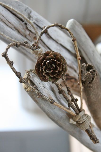 a pine cone sitting on top of a branch