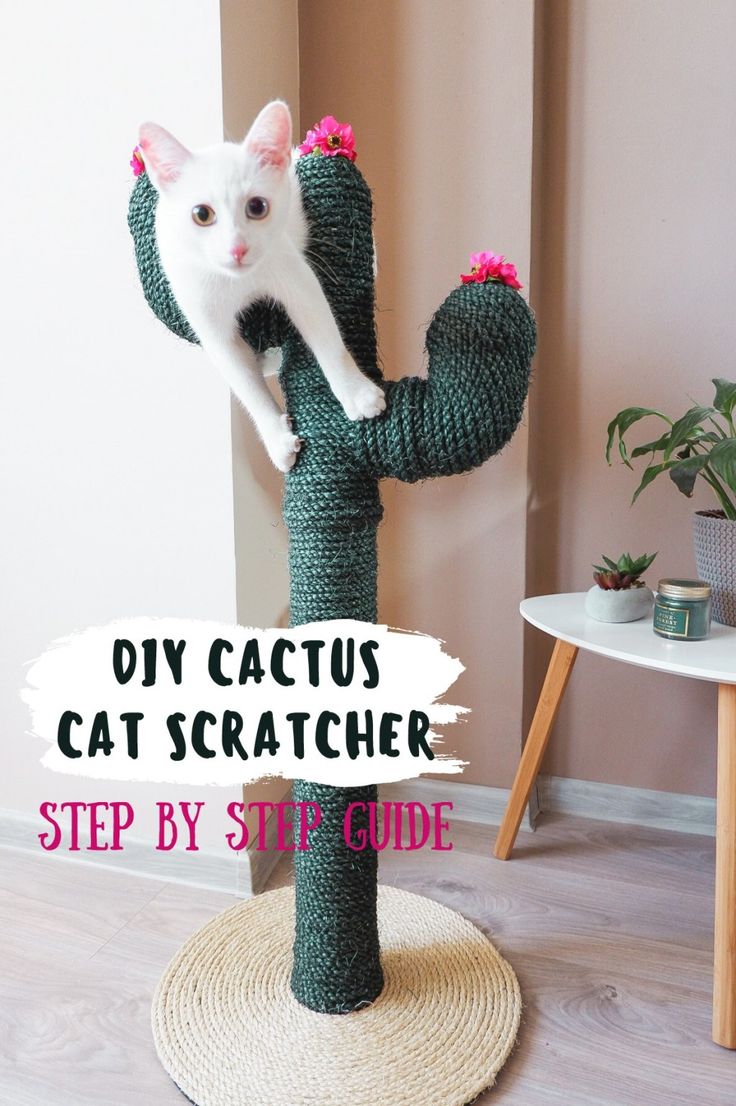 a white cat sitting on top of a cactus scratching post with text overlay saying diy cactus cat scratcher step by step guide