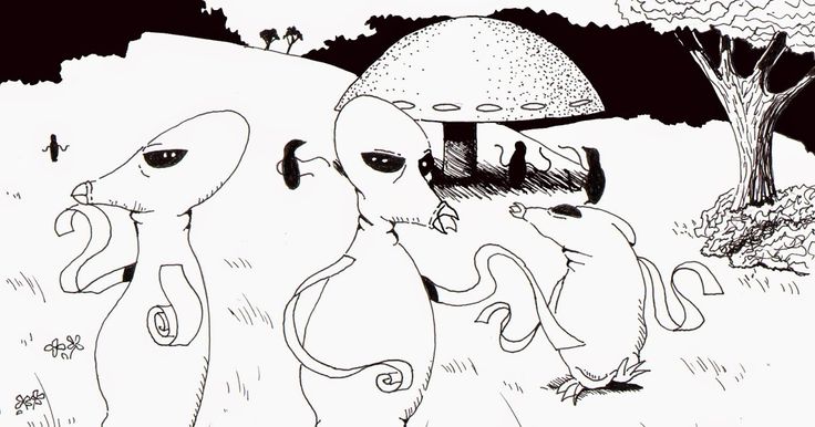 three elephants are walking in the grass with an mushroom on their head and one elephant has its trunk out