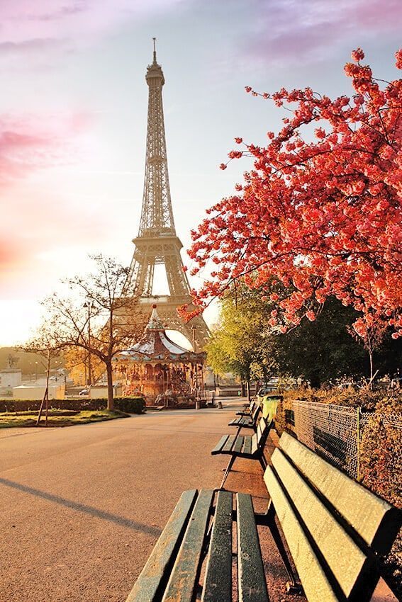 the eiffel tower towering over the city of paris is seen in this photo