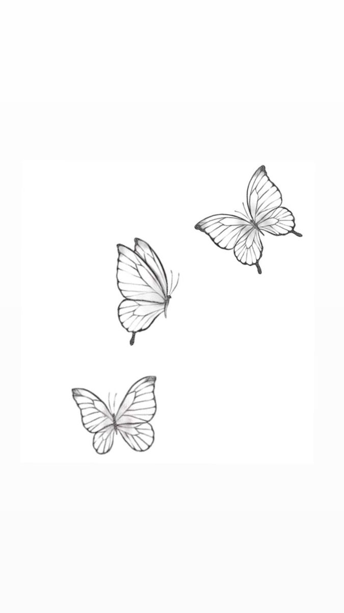 three white butterflies flying in the sky with their wings spread out and facing different directions