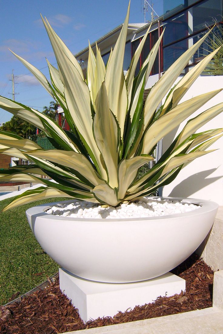 a large white planter sitting on top of a cement block in front of a building