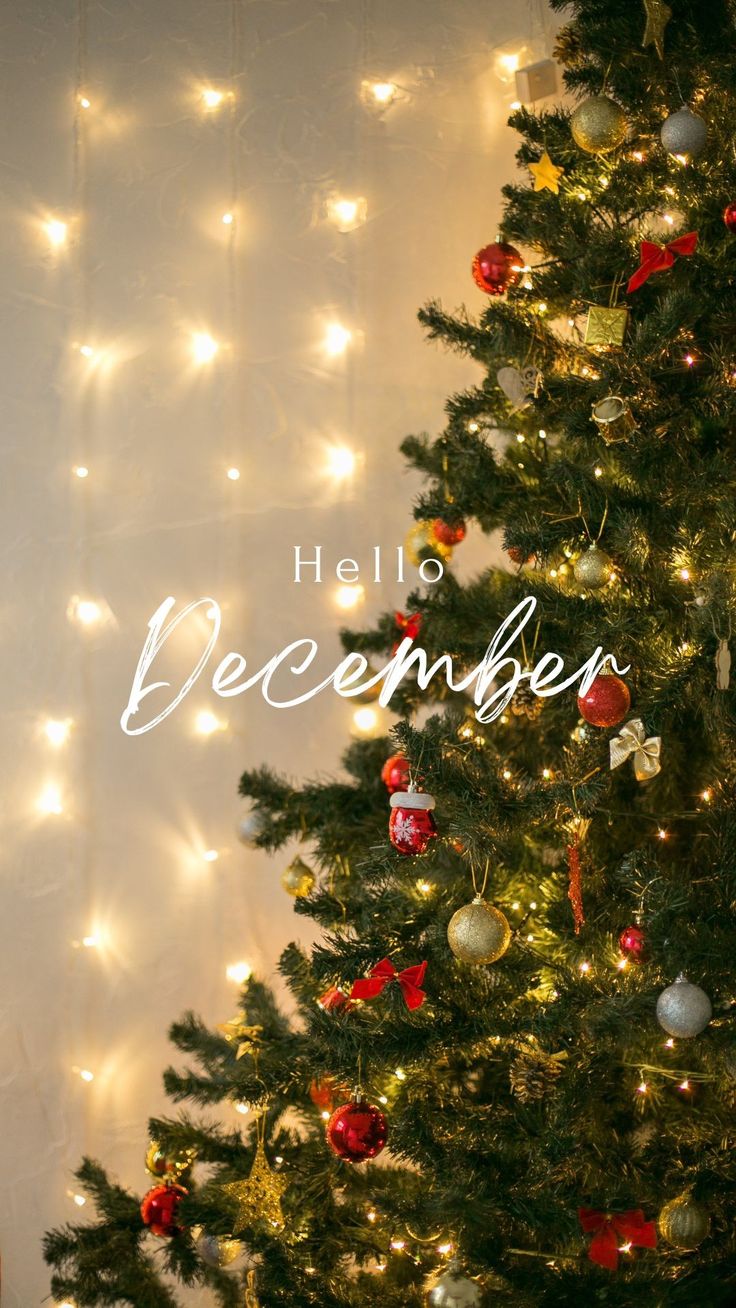 Wallpaper Its December Wallpaper, 1 December Wallpaper, Hello December 2024, Hello December Instagram Story, Hello December Images Aesthetic, Hello December Wallpaper Aesthetic, Welcome December Hello, It’s December, Hello December Wallpaper Iphone