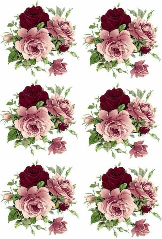 several different types of flowers are shown in this image, including pink and red roses