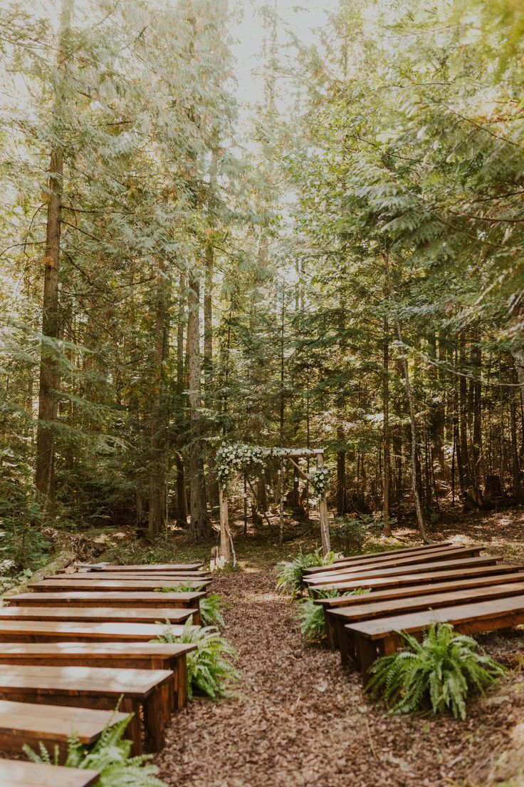 rows of wooden benches sitting in the middle of a forest