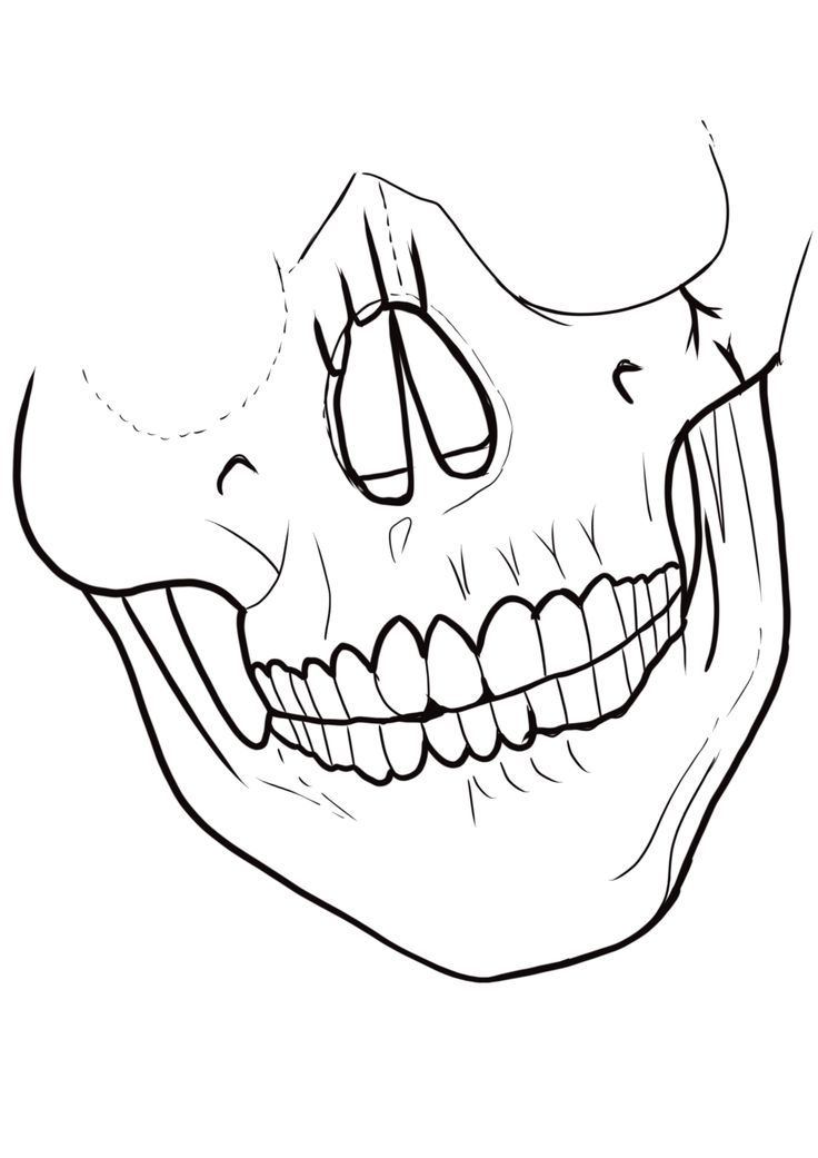 a drawing of a skull with teeth