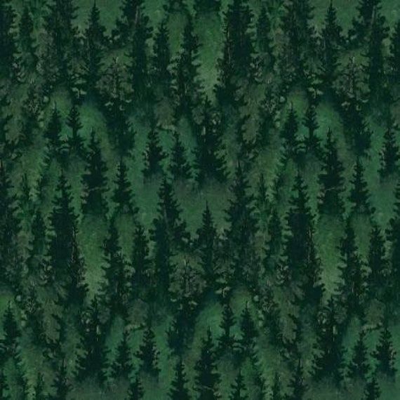 an aerial view of trees in the forest