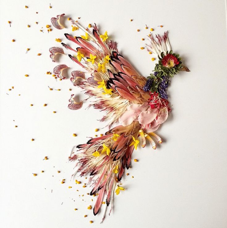 a bird made out of feathers and flowers on a white surface with seeds scattered around it