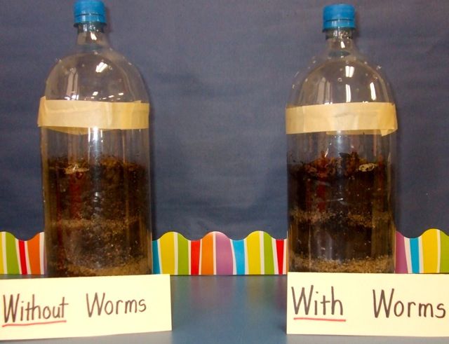 two bottles with different types of worms in them