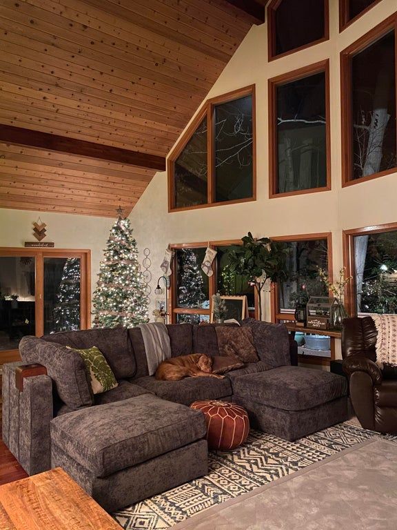 a living room filled with furniture and a christmas tree in the windowed wall behind it