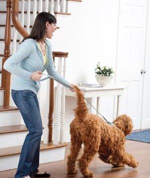 a woman is walking her dog on a leash in front of the stair railings