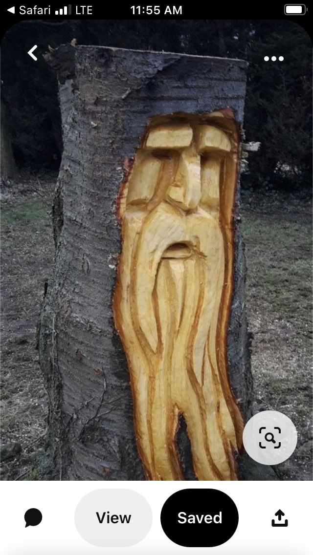 an image of a carved tree trunk