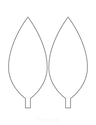 the outline of two leaves on a white background