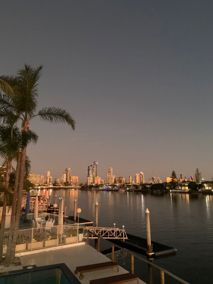 a view of the city from across the water at dusk with palm trees in foreground