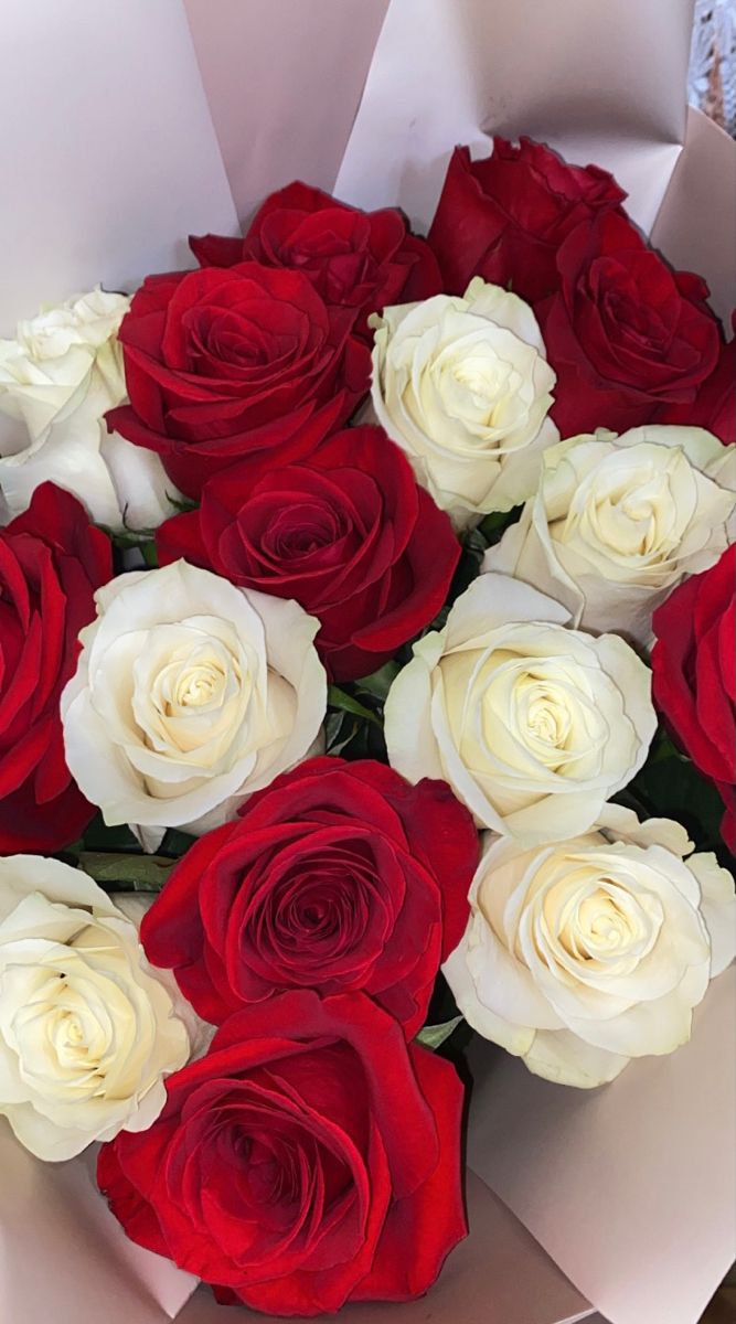 a bouquet of red and white roses in a paper bag