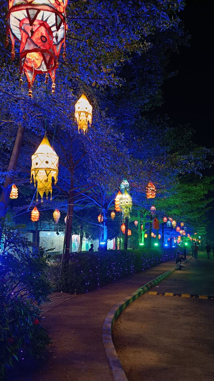 colorful lanterns are hanging from the trees at night