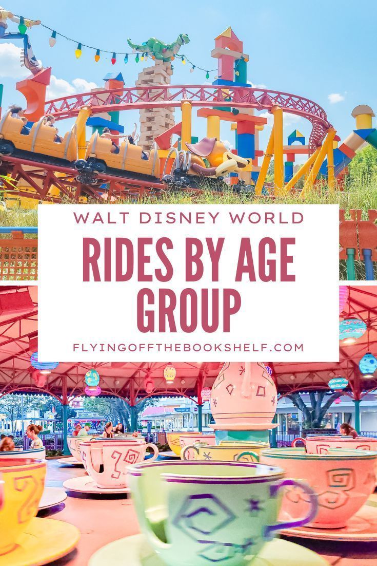 the rides by age group at disney world with text overlay that reads walt world rides by age group