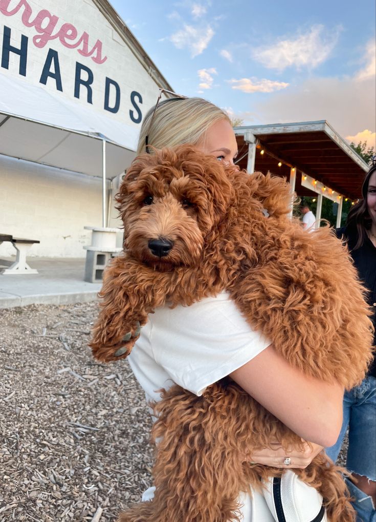 a woman holding a brown dog in her arms