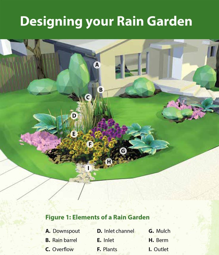 a garden with flowers and plants on the ground, labeled in green letters that read designing your rain garden figure 11 elements of a rain garden