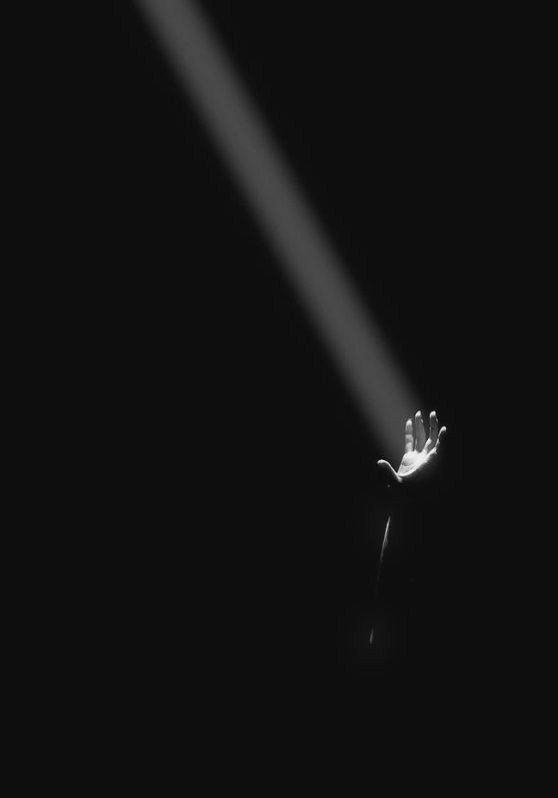 a light shining on a flower in the dark