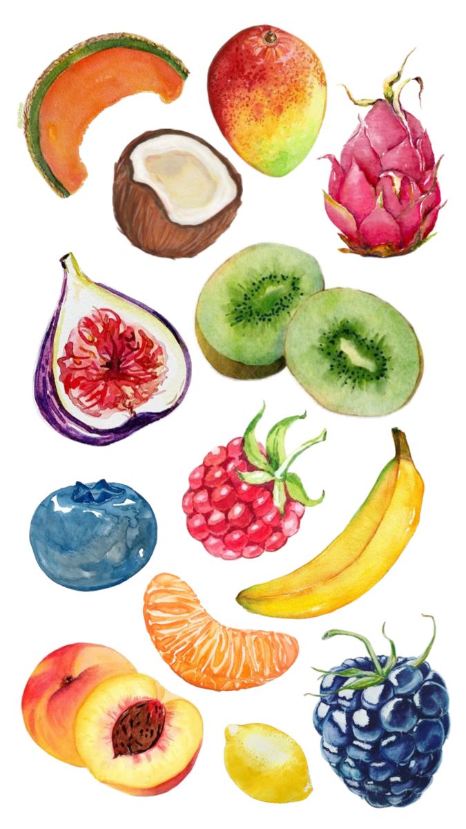 watercolor painting of various fruits and vegetables