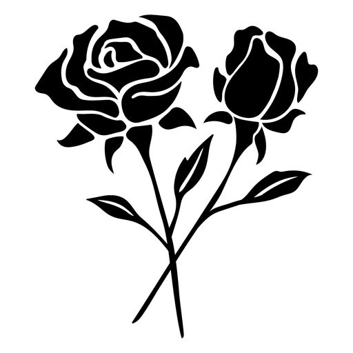 two black roses on a white background