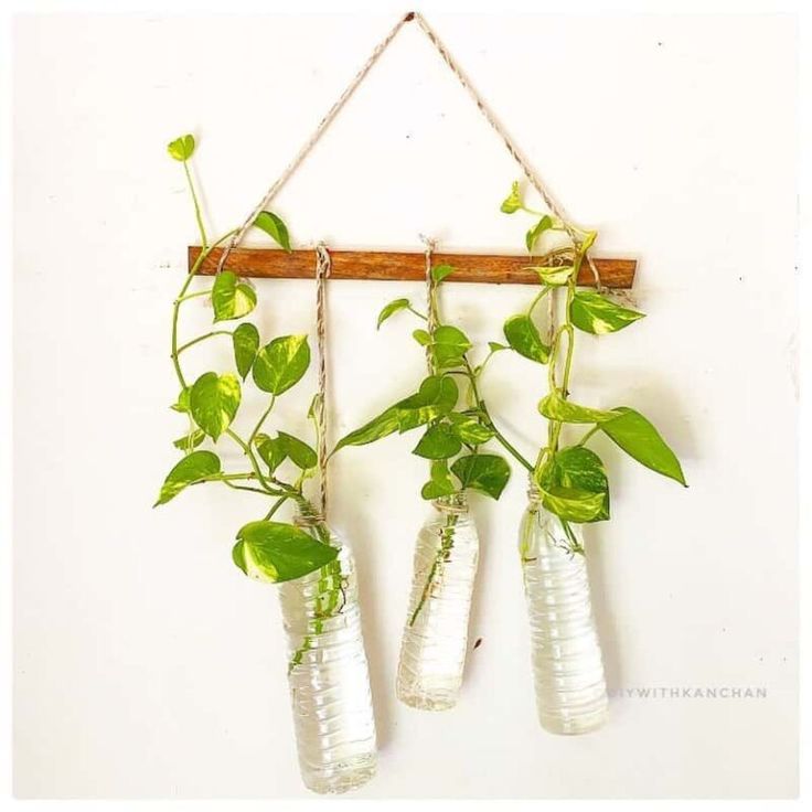 three water bottles are hanging from a wall with plants in them and one is empty