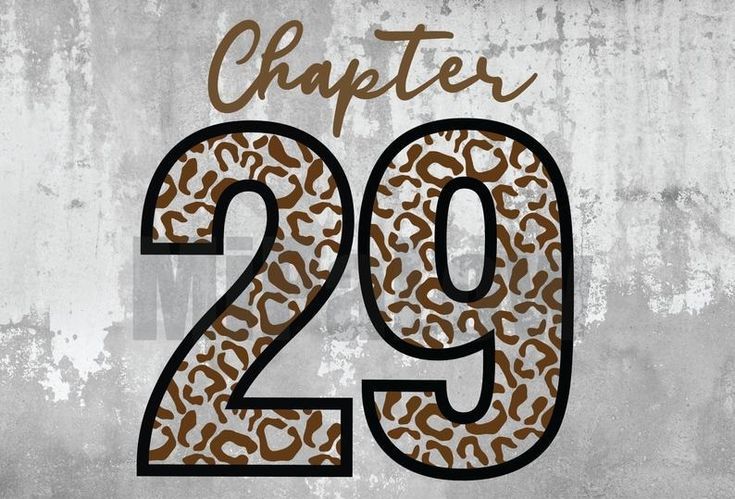 the number twenty twenty nine with leopard print on it