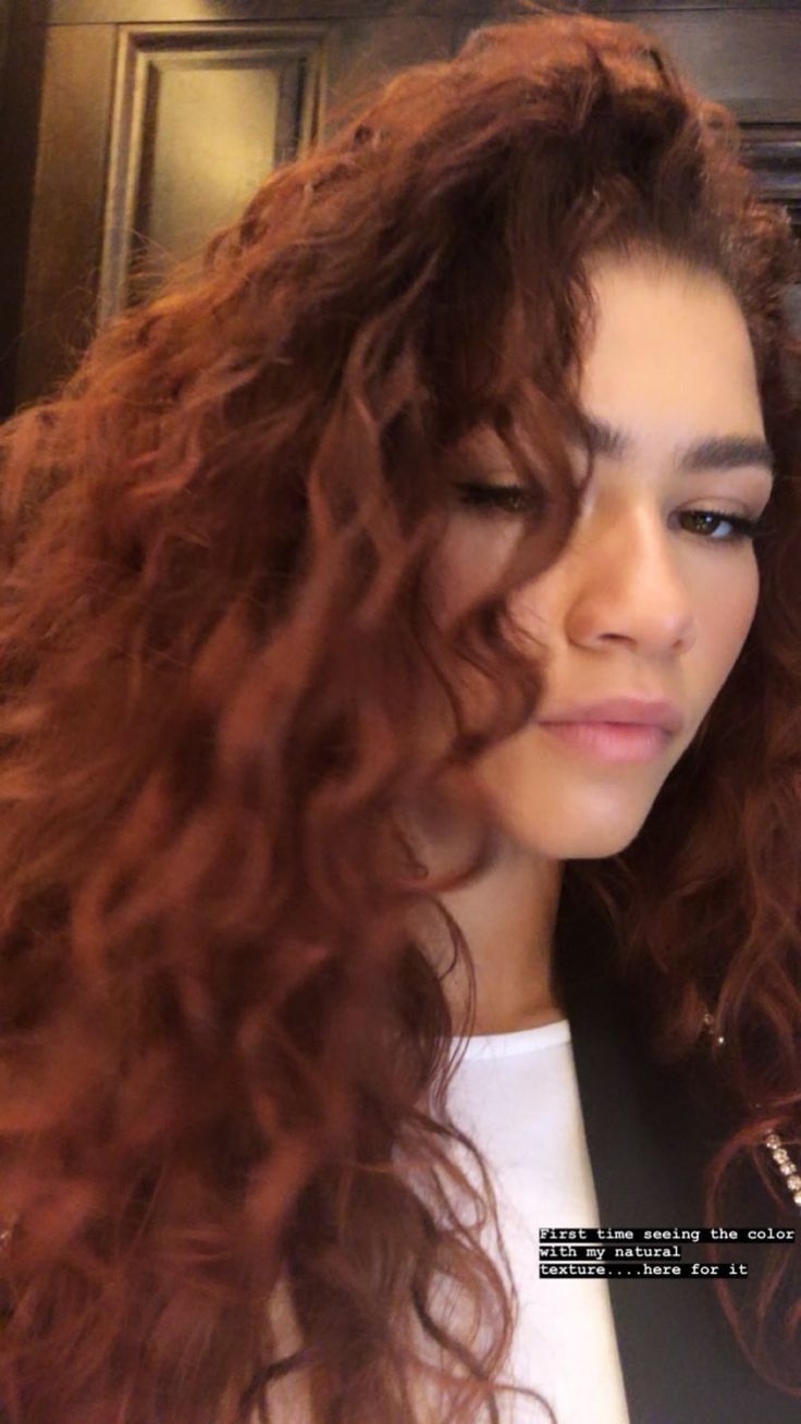 Red Hair Curly Dyed, Zendaya Red Hair, Zendaya Hair, Red Hair Inspo, Red Curly Hair, Cherry Chocolate, Colored Curly Hair, Hair Color Auburn, Zendaya Coleman