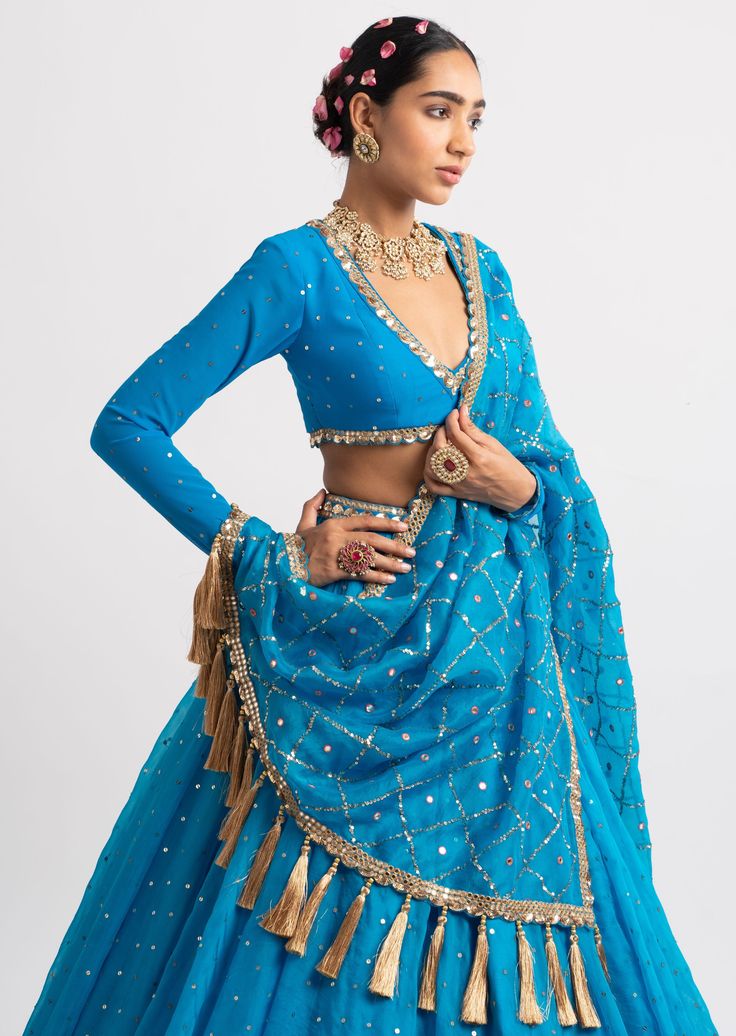 Intricately hand embroidered heavy dupatta with zari jhallar detailing clubbed with a v neck blouse and a silk organza lehenga. Vani Vats, Heavy Dupatta, Fusion Wear, Lehenga Dupatta, Outfits Indian, Lehenga Fabric, Organza Lehenga, Organza Blouse, Draping Fashion