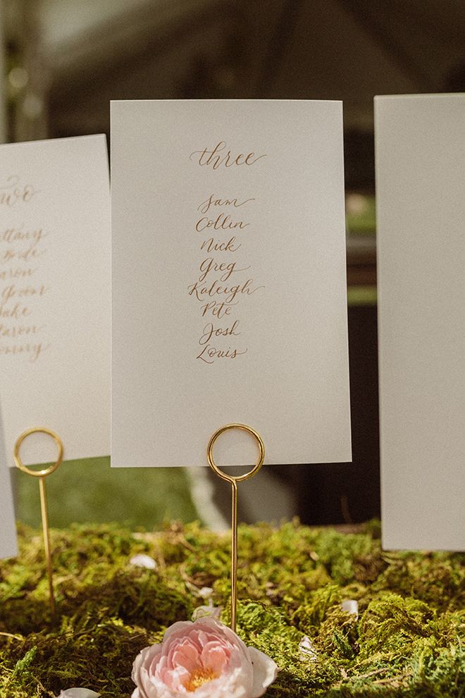 three place cards are placed on top of moss with gold rings and a flower in the middle