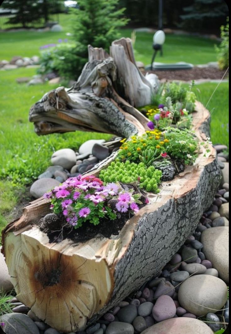 a log with flowers growing out of it