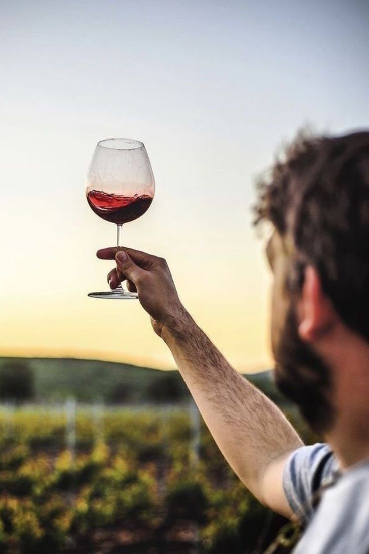 a man holding up a wine glass with red wine in it while the sun is setting