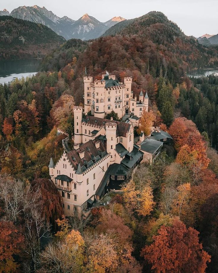 an aerial view of a castle surrounded by trees