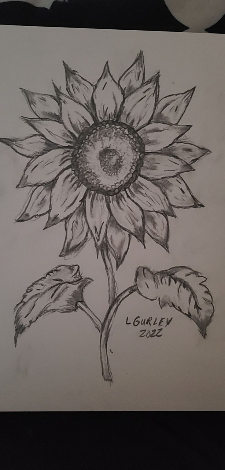 a drawing of a sunflower with leaves