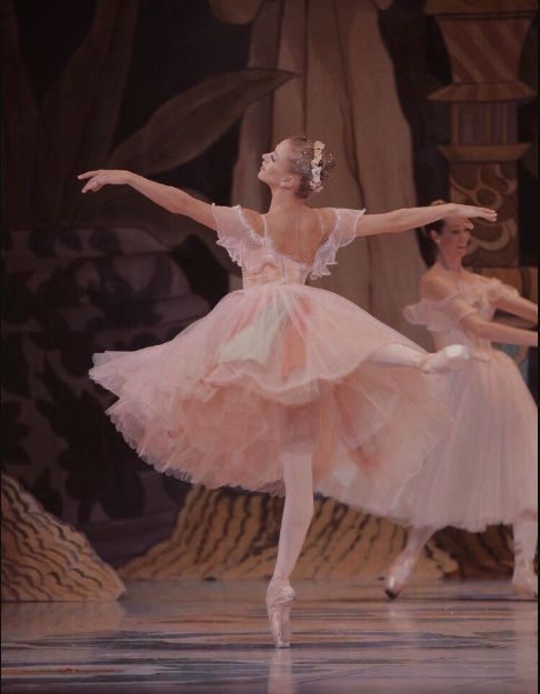 two ballerinas in pink tutu and white leotards