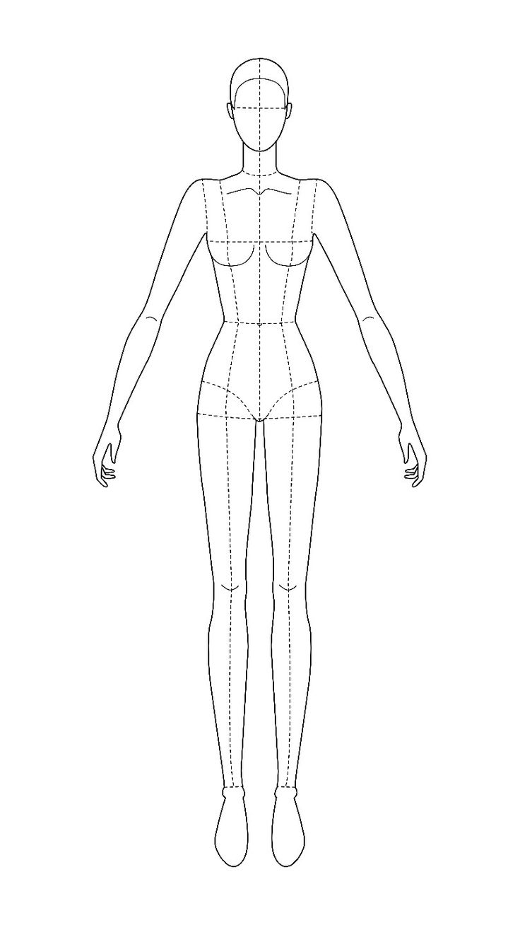 an outline drawing of a female body with the measurements for each part of her torso