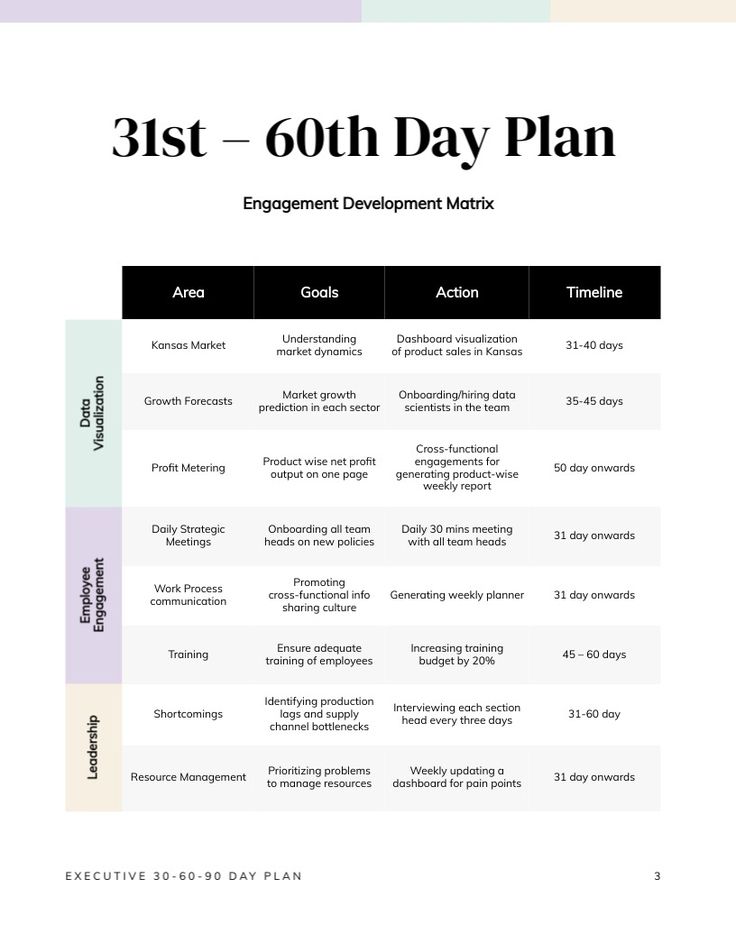 CEO 30-60-90 Day Plan Template  Visme 30 60 90 Day Plan Template, Data Vizualisation, Business Strategy Management, 90 Day Plan, Day Plan, Plan Template, Employee Engagement, First Page, Data Visualization