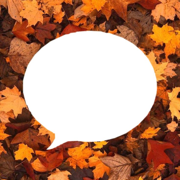 an empty speech bubble surrounded by autumn leaves